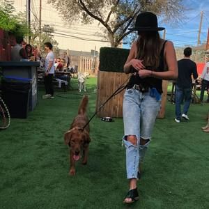 Meet your Posher, Taylor